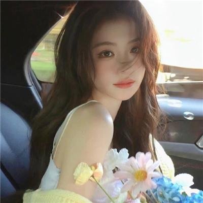 显而易见的傻瓜:电影版